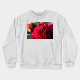 Flower Peony roses up close Crewneck Sweatshirt